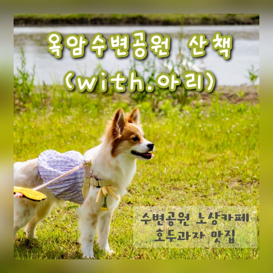 헬로벨로 사진 1