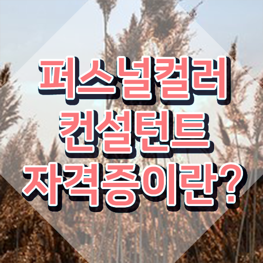  독학 자격증 추천 , 퍼스널컬러컨설턴트 직장인도 인강만으로 빠르게 성공한 노하우