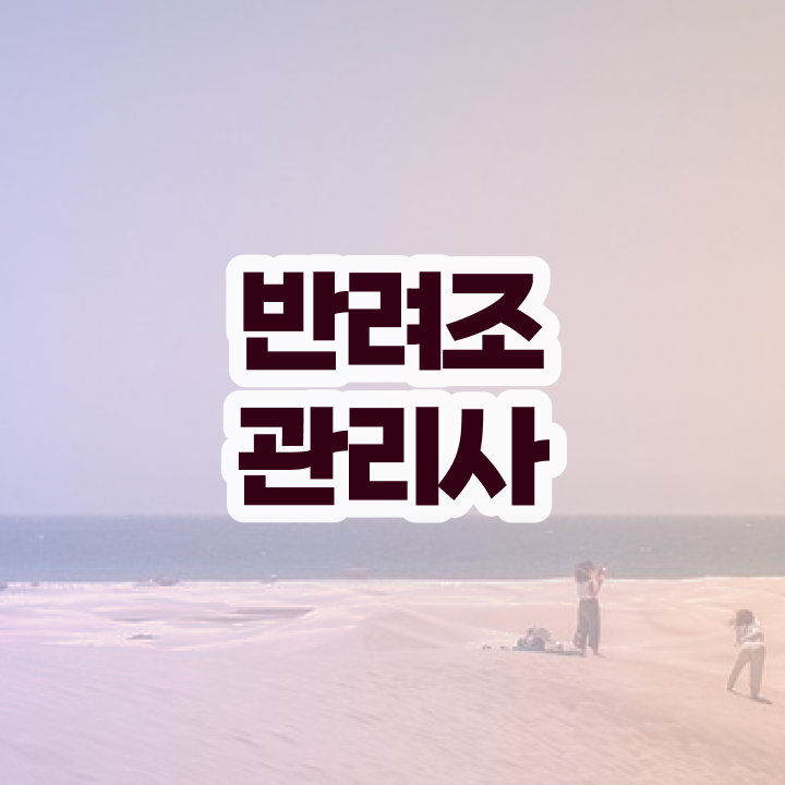  사랑앵무 먹이 , 반려조관리사 자격증 합격 전략 알아보기