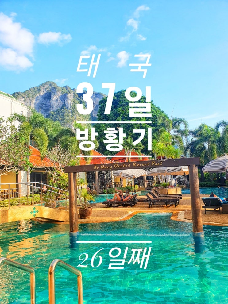  [태국 37일간의 방황기] 26일째 Jenette's Italiano Retaurant 아오 낭 Raohome Massage 오키드리조트 Issan Seafood 랜드마크야시장