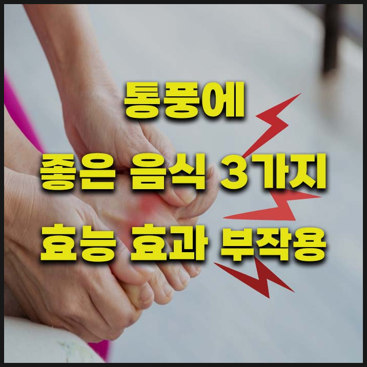 통풍에 좋은 음식 3가지 효능 효과 부작용