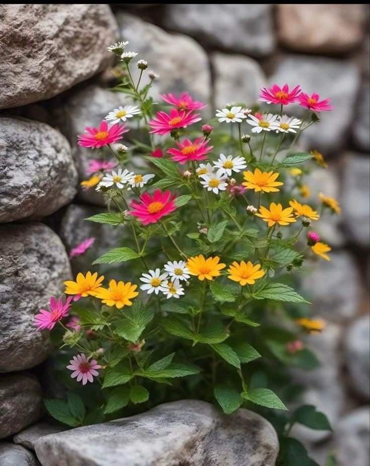   오늘의 생활정보 (2024-05-15, 수)