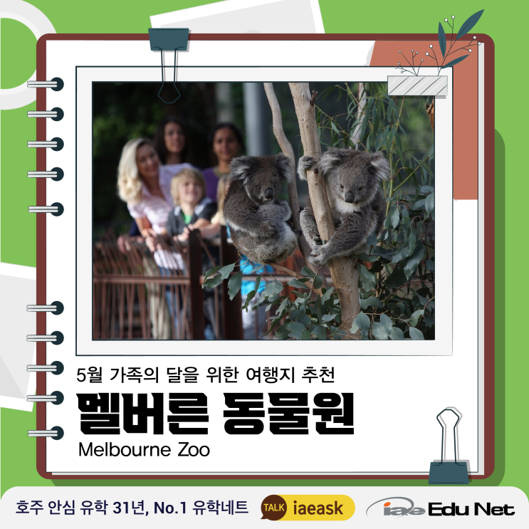  [호주 여행] 멜버른 여행지 추천 | 멜버른 동물원  Melbourne Zoo |  5월 가족의 달