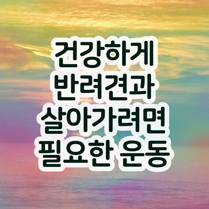  반려동물 생활관리사 반려견운동지도사자격증 한달 만에 취득 정보