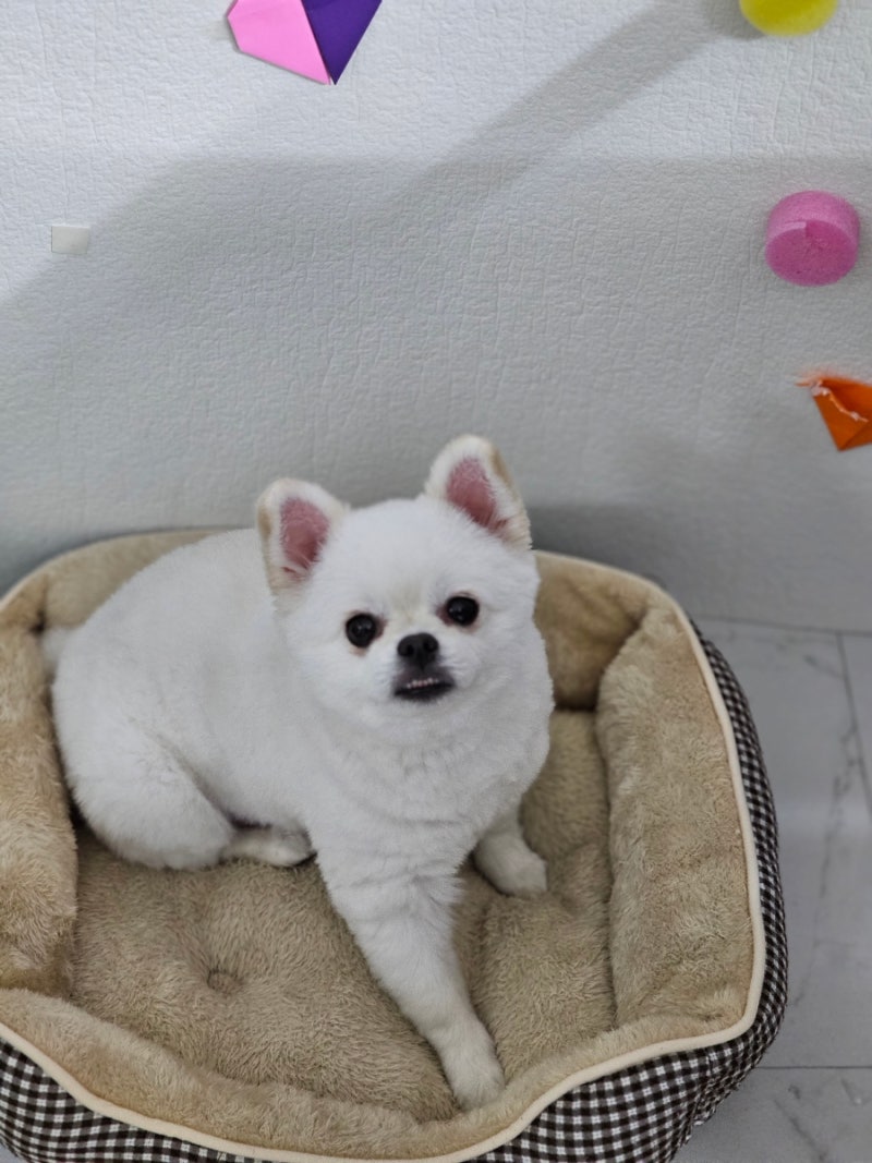 사진 3