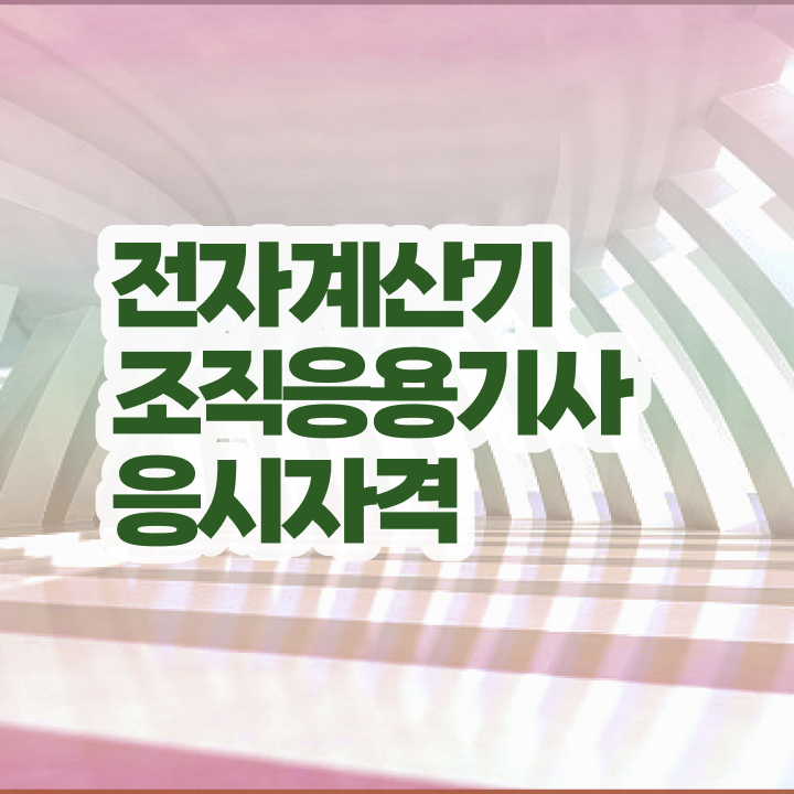  전자계산기조직응용기사 수제비 전자계산기조직응용기사 시험자격 온라인으로 5달만에 완료한 방법