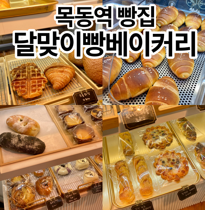  목동역 맛집 빵집 달맞이빵베이커리 목동점