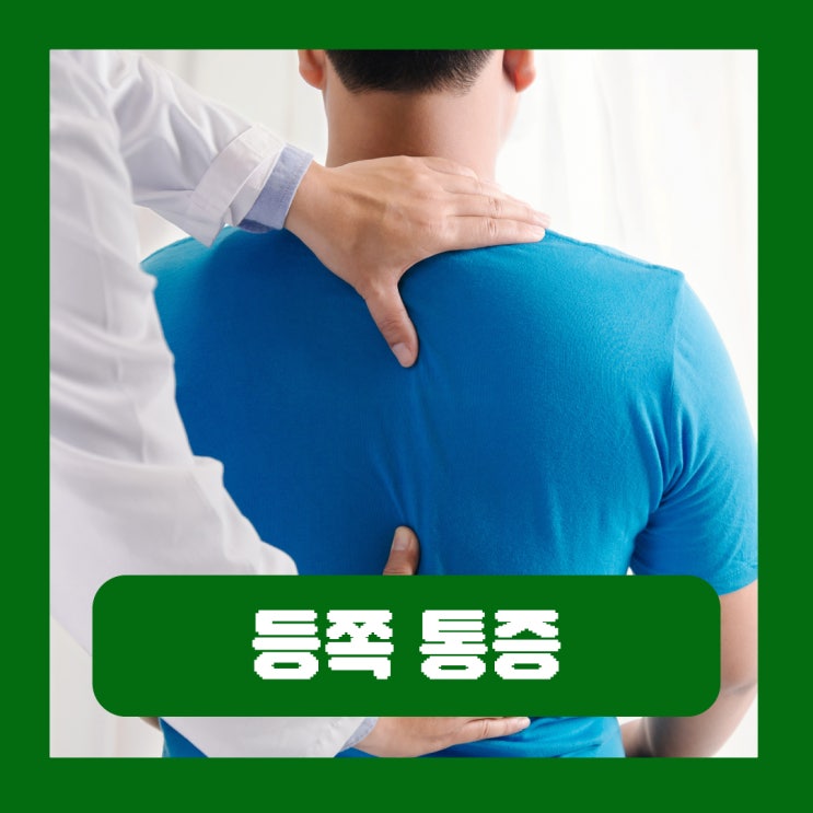  등 통증 위치 부위별 연관통 췌장 폐암 등쪽 통증 원인