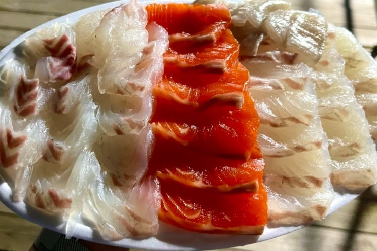  제주도 회 맛집, 아는 사람들만 가는 ‘용수산회포장‘ 제주 연어, 대광어, 참돔, 딱새우 회 솔직 리뷰