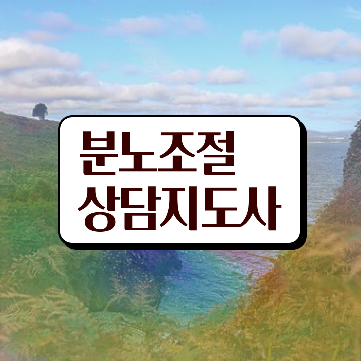  40대여성자격증 , 분노조절상담지도사 단기간에 준비한 꿀팁 모음
