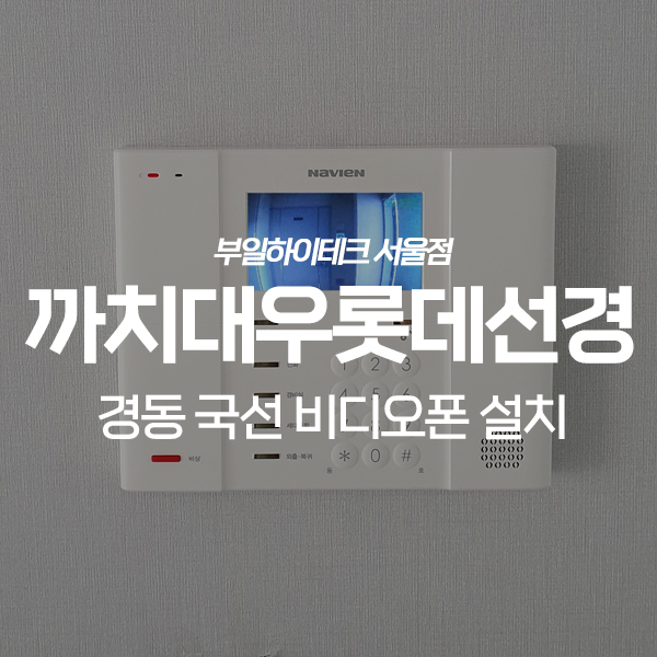  분당구 구미동 까치대우롯데선경아파트 경동 국선방식 비디오폰 교체 설치