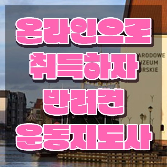  50대 자격증 추천 , 반려견운동지도사 인강으로 초단기 준비한 비법