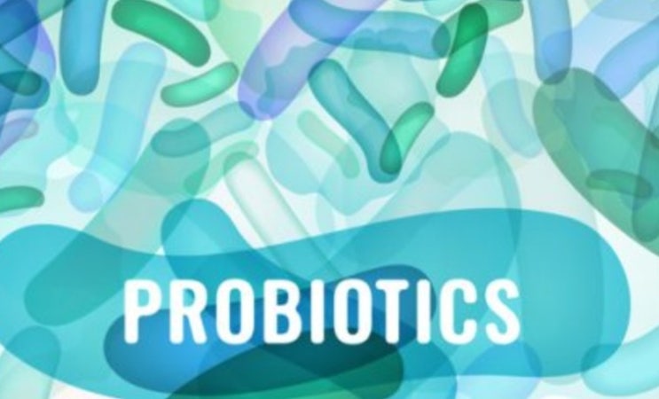  프로바이오틱스 유산균 효능은?