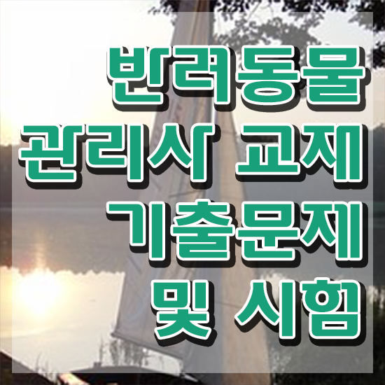  1급반려동물관리사인터넷강의 , 반려동물관리사 자격증 합격 전략 총 정리