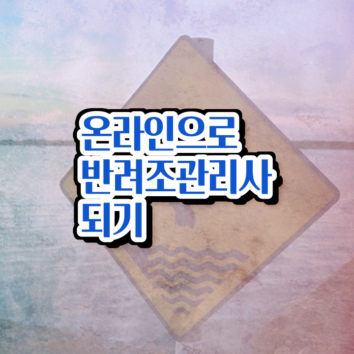  말하는 앵무새 가격 , 반려조관리사 자격증 비용없이 온라인으로 취득한 노하우 및 구직정보