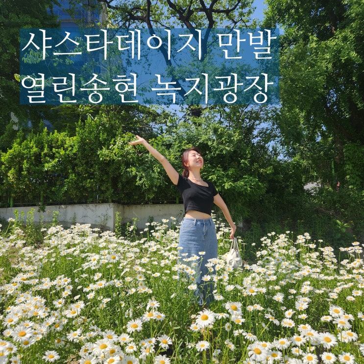  서울 샤스타데이지 열린송현녹지광장 삼청동 데이트