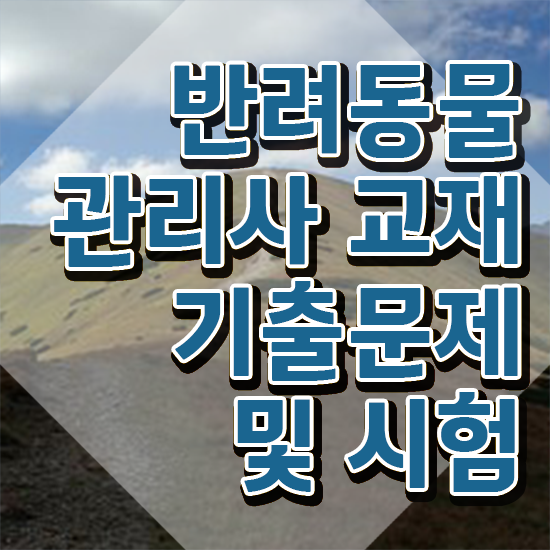  반려동물자격증종류 , 반려동물관리사 자격증 온라인으로 학습한 후기 및 취업 전망
