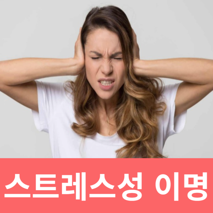  스트레스성 이명 한쪽귀에서삐소리 왼쪽 귀이명 원인 증세