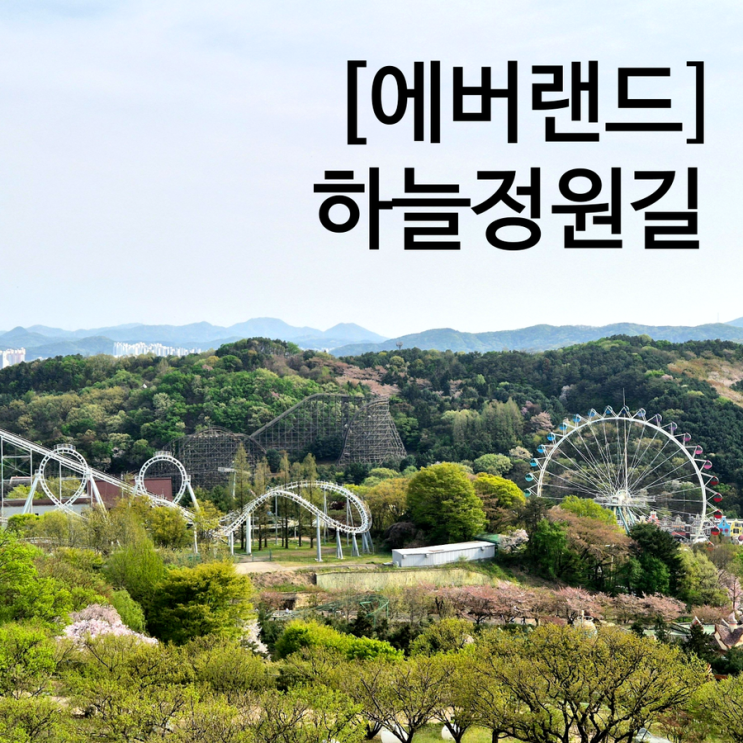  에버랜드 하늘정원길 매화랑 벚꽃이랑 다 본 사연 주말 나들이 산책코스