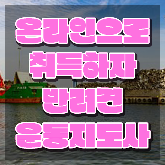  노후 자격증 추천 , 반려견운동지도사 온라인 수업만으로 편하게 성공한 팁