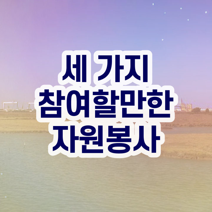  학교도서관 자원봉사 , 자원봉사지도사 자격증 한달 만에 취득 정보 궁금하다면