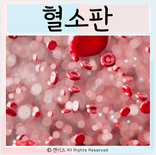  혈소판 수치가 높을때 낮을때 증상은?