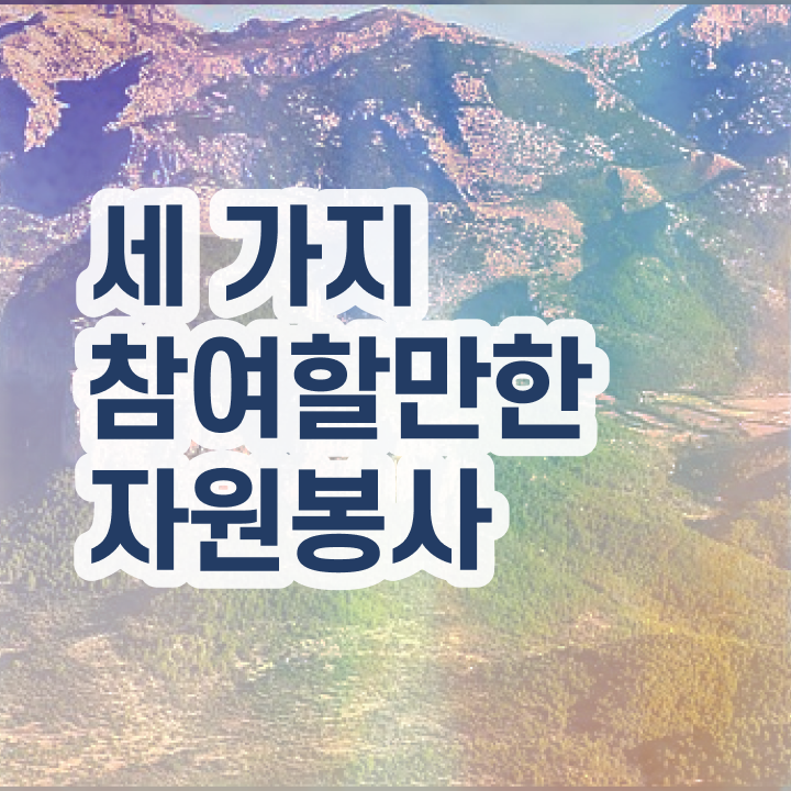  자원봉사 후기 , 자원봉사지도사 자격증 응시자격 없이 합격 비법 정리했어요