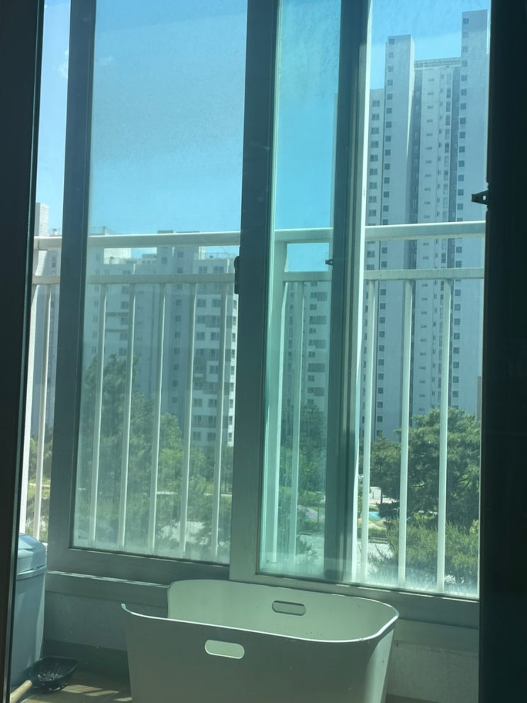  0516 감사일기