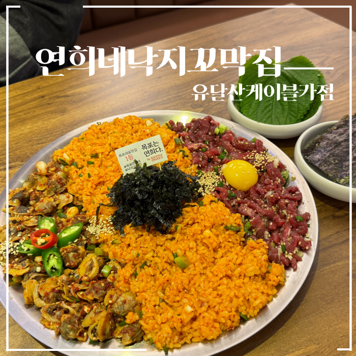  목포 여객선터미널 근처 맛집 육꼬비 추천 애견동반 여행 식당 연희네낙지꼬막집 유달산케이블카점