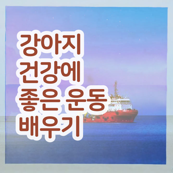  강아지 훈련사 비용 비용없이 온라인으로 반려견운동지도사자격증 합격 비법 알아볼게요