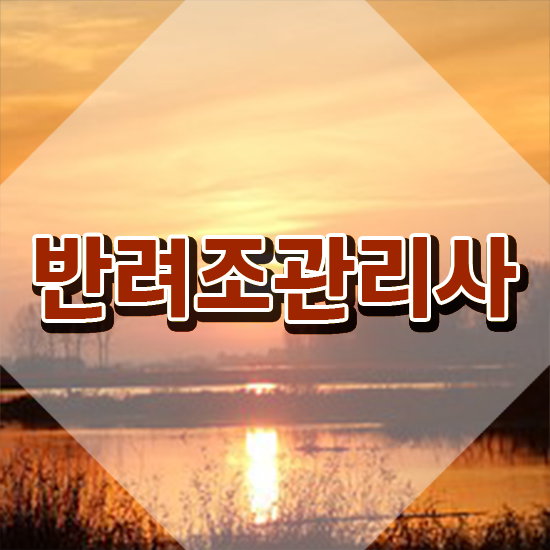  애완 앵무새 종류 , 반려조관리사 자격증 취득한 방법 확인하고 가세요