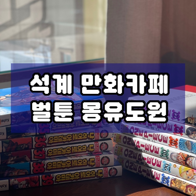  석계역 놀거리 만화카페 신규 오픈 벌툰 몽유도원 내돈내산