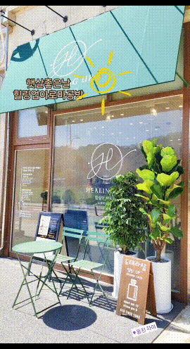  도테라최고의 프로모션 BOGO가 시작됩니다!~(보고소개! 5월보고 구매방법안내!)