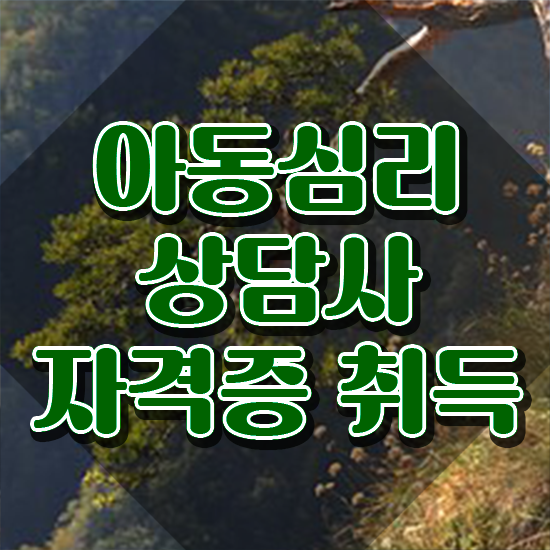  성인심리바우처 , 아동심리상담사 자격증 2주 만에 취득 정보 최단기간 취득한 과정