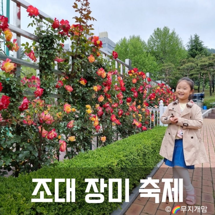  2024 조대 장미 축제 일시 날짜 주차