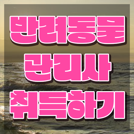  반려동물식품관리사 , 반려동물관리사 자격증 한달 만에 학습 최단기간 취득한 과정