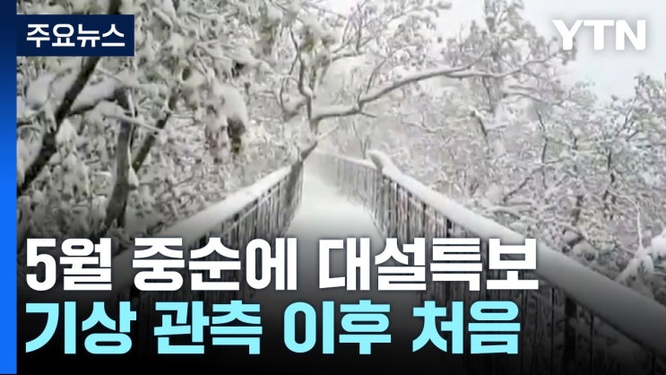 5월 중순 맞아?...강원 산간, 대설특보 속 40cm 넘는 눈 5월 중순 맞아?...강원 산간, 대설특보 속 40cm 넘는 눈