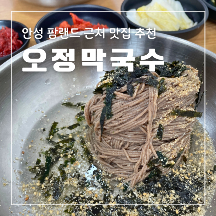  안성팜랜드 근처 막국수맛집 오정막국수 동치미 만둣국 수육 주차가능
