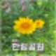 제주_한림공원 소요시간 입장료, 관람하기
