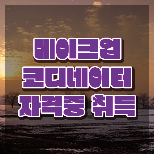  메이크업실기학원 , 메이크업코디네이터 자격증 한달 만에 합격한 전략 및 전망
