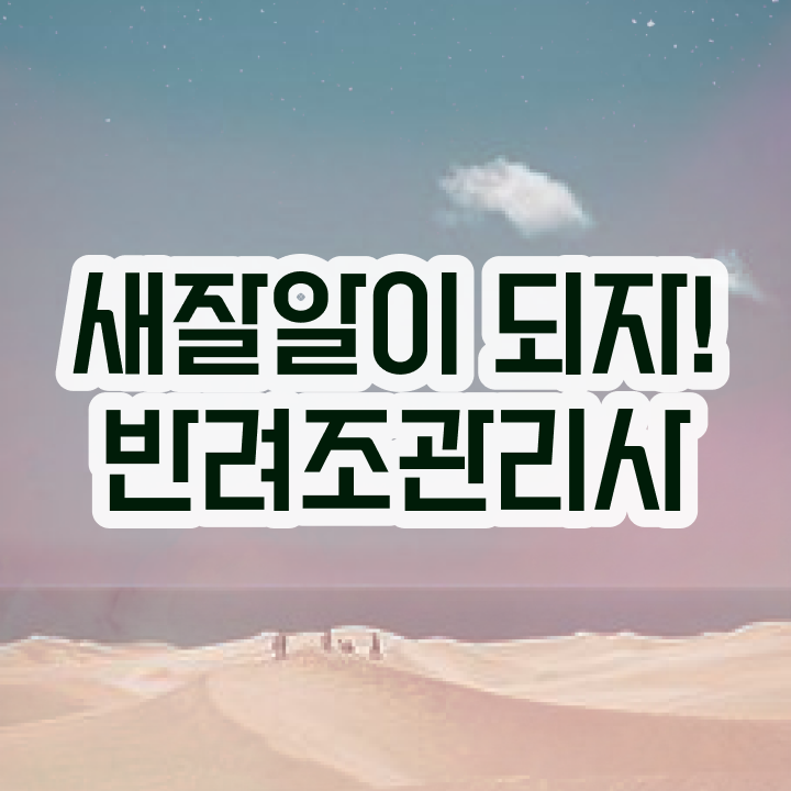  파인애플코뉴어앵무새 , 반려조관리사 자격증 1달 만에 취득 정보 소개합니다