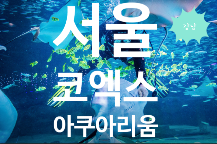  혼자서 떠나는 바닷속 여행: 코엑스 아쿠아리움 / 더플레이스 코엑스점 /예매 방법/주차정보