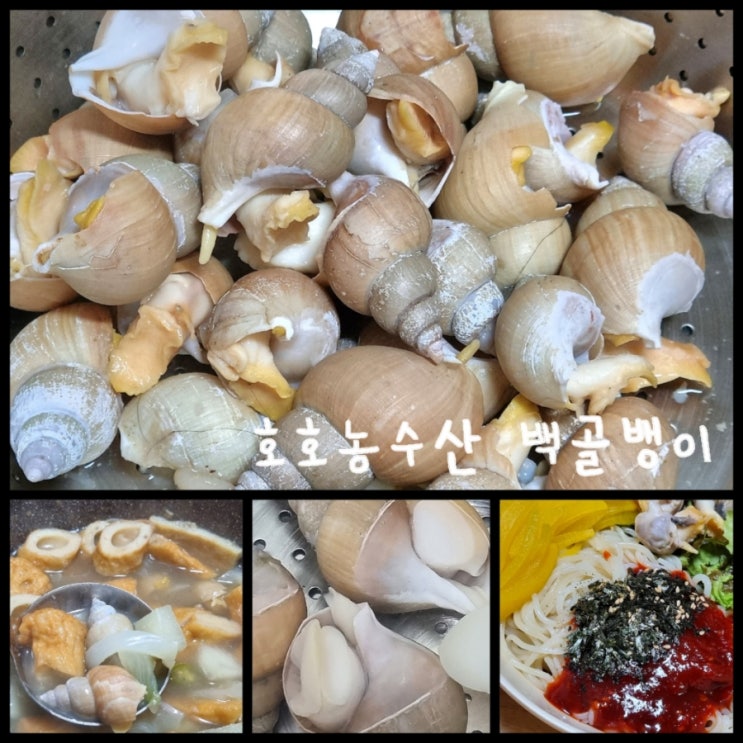 백골뱅이 먹는 법 / 백골뱅이를 이용한 어묵탕과 쫄면으로 술안주 만들기 백골뱅이 먹는 법 / 백골뱅이를 이용한 어묵탕과 쫄면으로 술안주 만들기