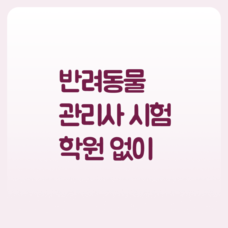  강아지 훈련사 자격증 , 반려동물관리사 자격증 간단하게 합격한 팁 , 구직정보