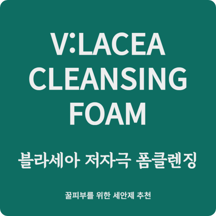 40대 남자 피부미용 블라세아 클렌징 폼 : 저자극폼클렌징 약알칼리성