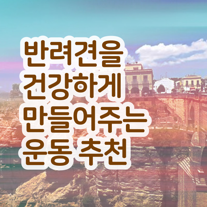  반려견운동지도사 분석가 , 반려견운동지도사자격증 비용없이 온라인으로 취득한 노하우