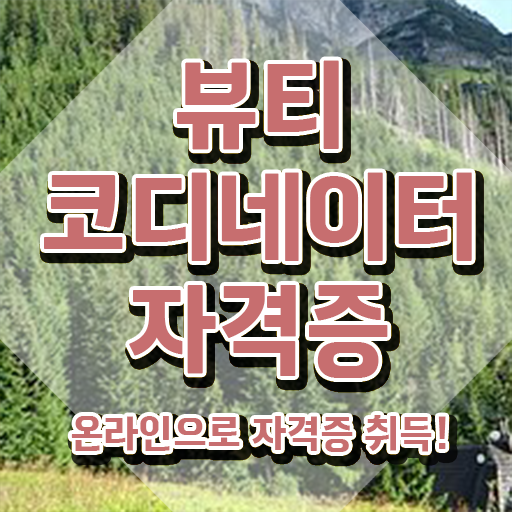  방송스타일리스트취업 , 뷰티코디네이터 자격증 온라인으로 쉽게 시험준비 필수 정보