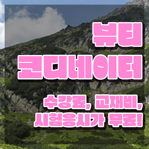  코디네이터 월급 , 뷰티코디네이터 자격증 비용없이 온라인으로 합격한 비법 , 채용 정보