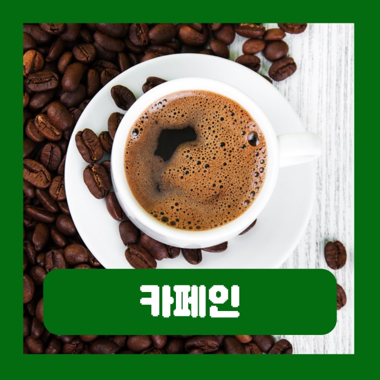  카페인 과다 섭취 증상 중독 부작용 하루 권장 섭취량 효능 음식