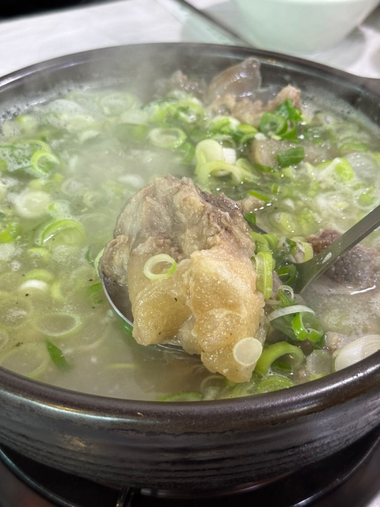 수원양반댁도가니 현지인 인계동 노포 도가니탕 찐맛집